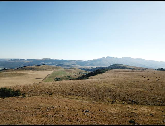 1,730HA FARM FOR SALE IN DARGLE